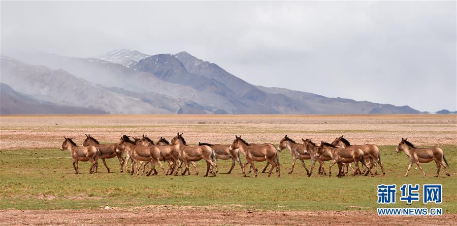 ????? ???? ??? ????? ???? ?????? ?? ??????? ???????? ??????