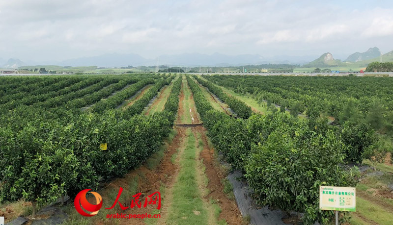 ?????? ...??? ?????? ???????