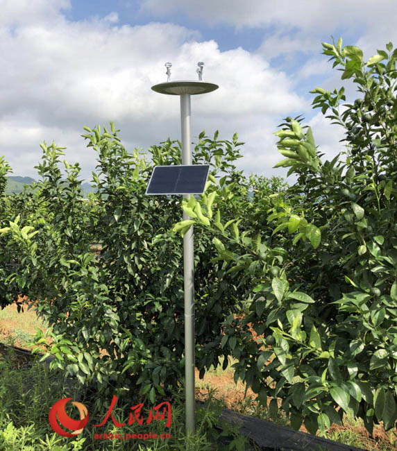 ?????? ...??? ?????? ???????