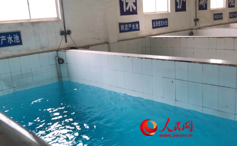 ?? ??? ???????? .. ????? ????? ?????? ???? ??? ????? ???????