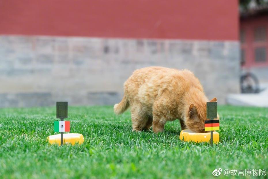 ???? ???? ?????? ???????? ???? ???? ?????? ??? ??????