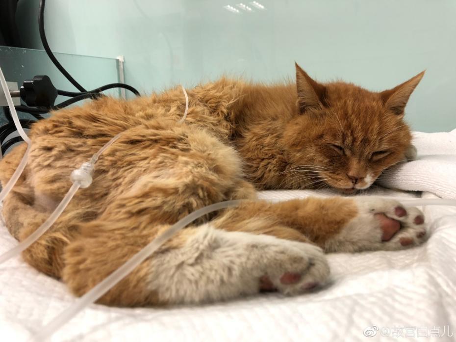 ???? ???? ?????? ???????? ???? ???? ?????? ??? ??????