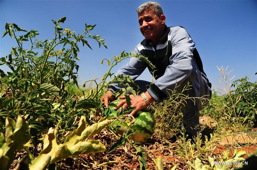 ????? ??????: ????? ?????? ???? ?????? ?? ???? ????? ??????? ????? ?? ????????