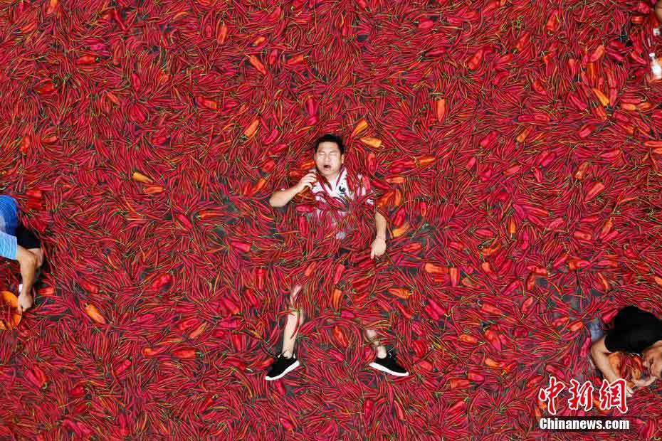 ?????? ??? ?????? ????? ?? ?????? ?????