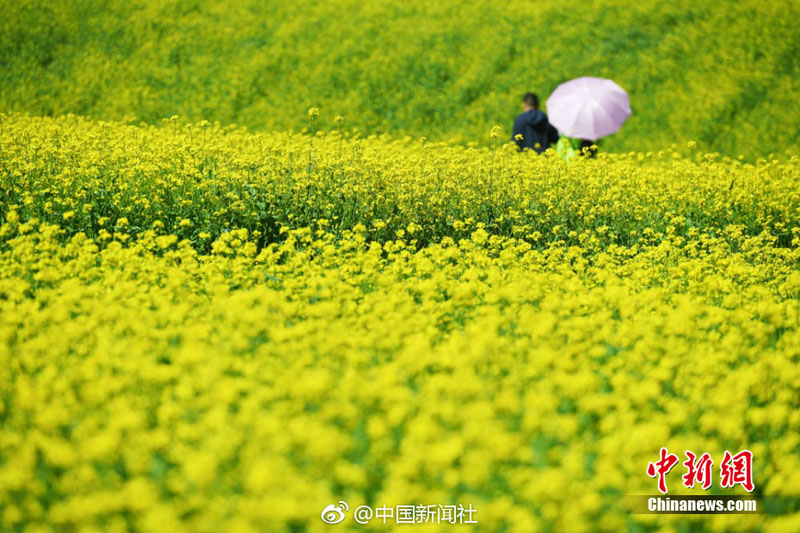 ???? ?????? ????? ?? ????? ???? ????? ??? ?????