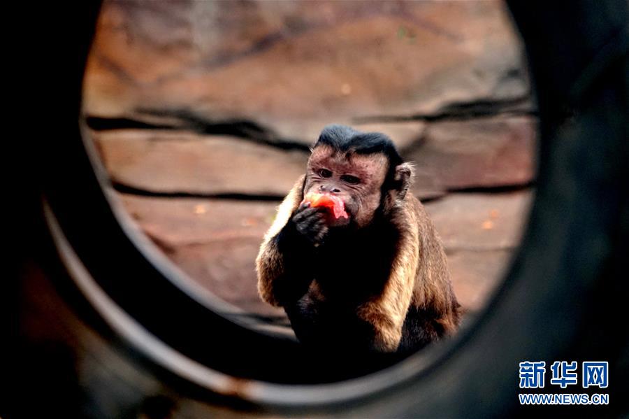 ??? ????? ????????? ??? ????? ?? ??? ?????