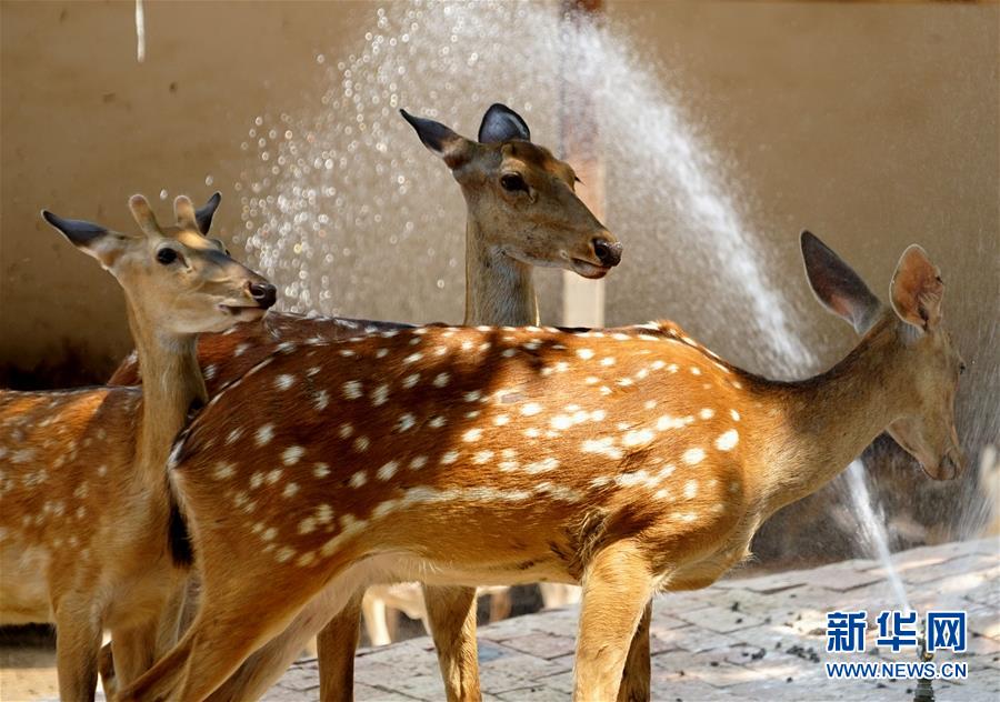 ??? ????? ????????? ??? ????? ?? ??? ?????