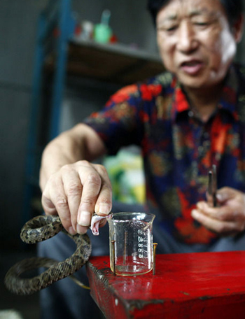 12 ????? ????? ?? ????????? ??????? ??