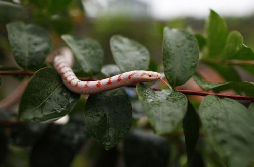 12 ????? ????? ?? ????????? ??????? ??