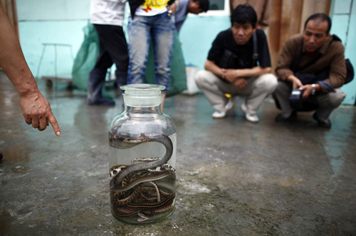 12 ????? ????? ?? ????????? ??????? ??