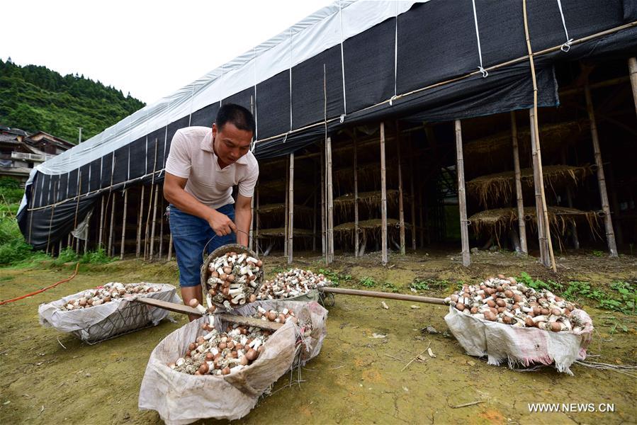 ???? ???? ?????? ????? ?? ???? ???? ?????