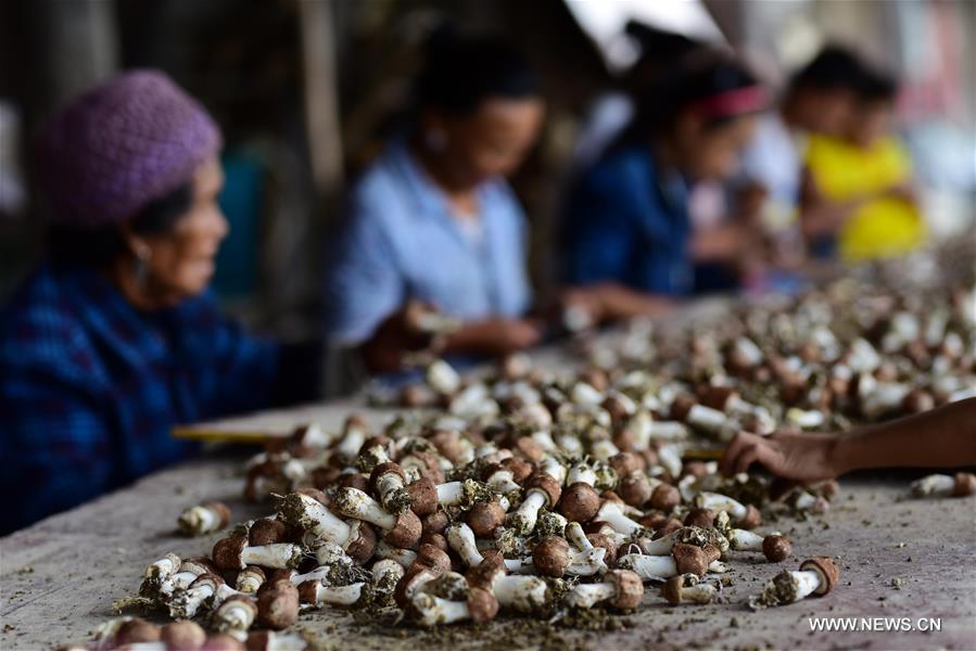 ???? ???? ?????? ????? ?? ???? ???? ?????