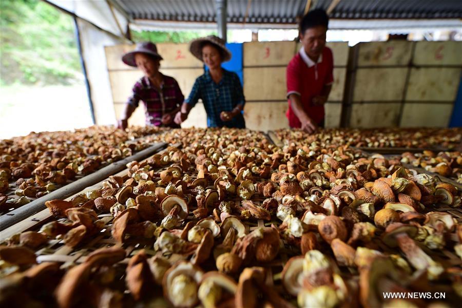 ???? ???? ?????? ????? ?? ???? ???? ?????