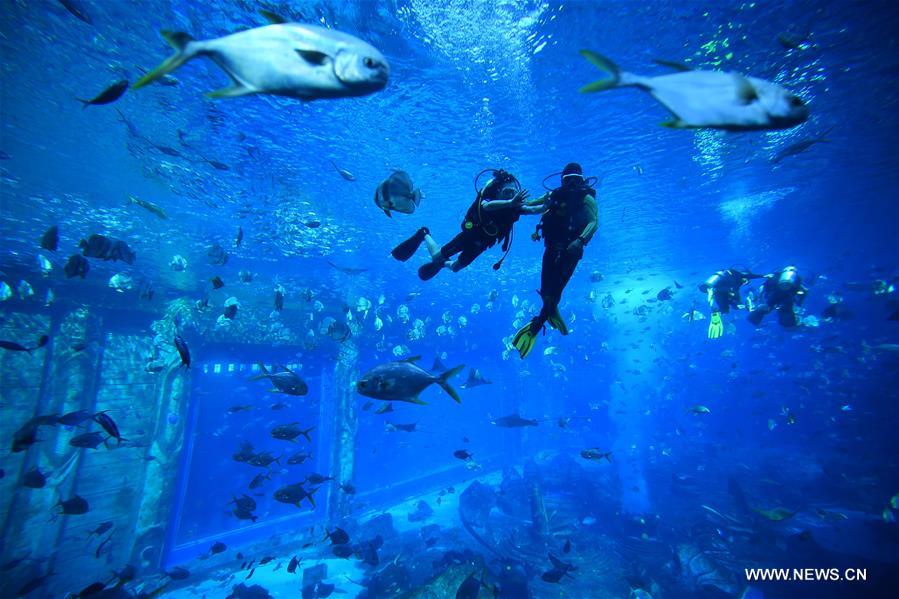 ????? ????? ??????? ???? ????? ?? ???????? ???? ???? ?????