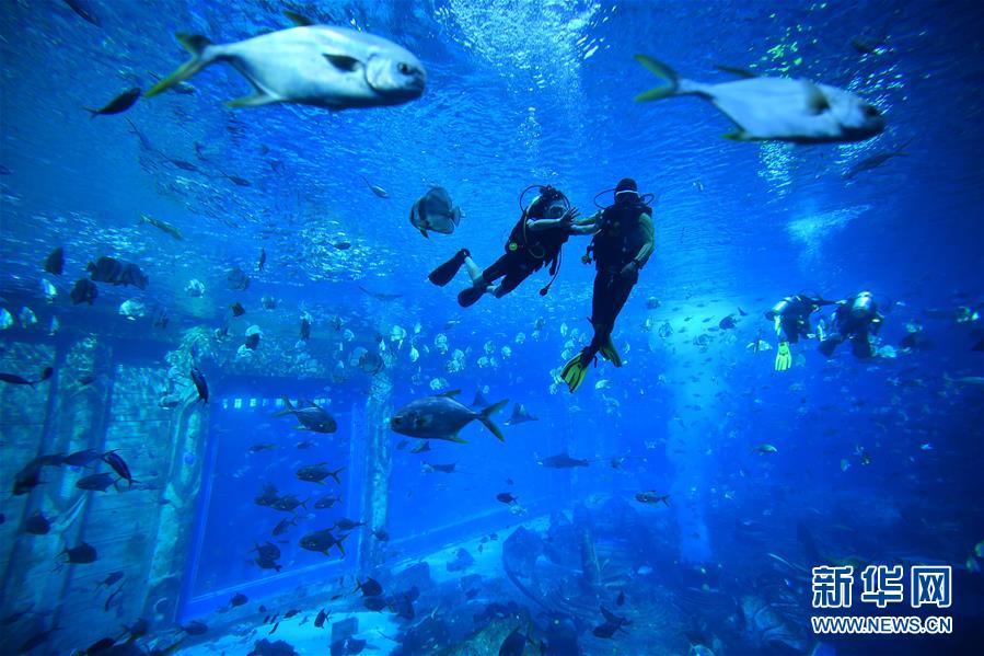 ????? ?????? ???? ???????