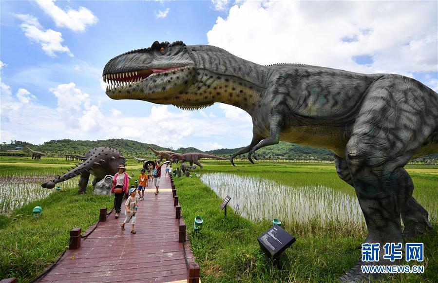 ????? ?????? ???? ???????