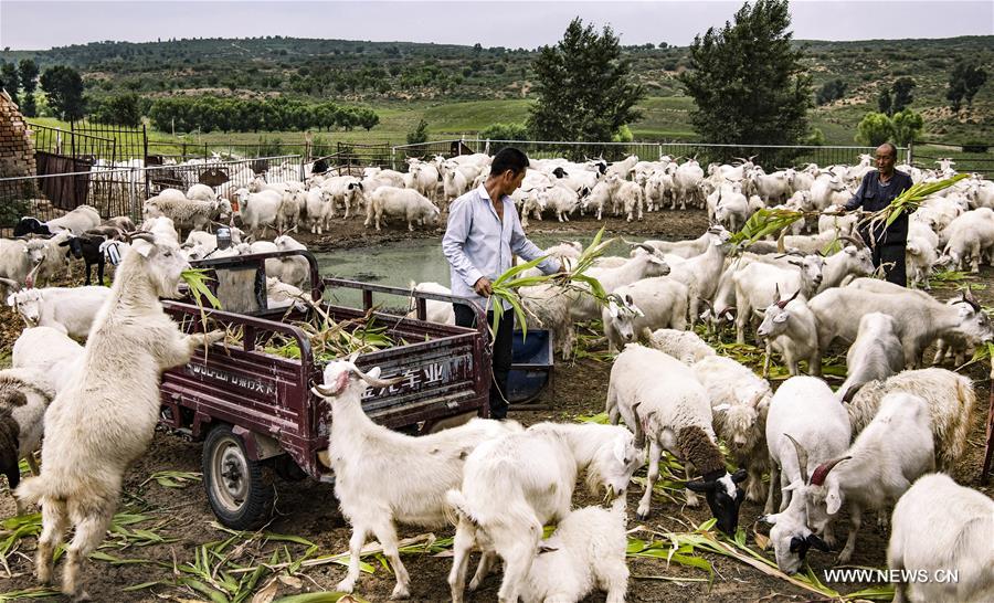 ???? ???? ??????? ?? ?????