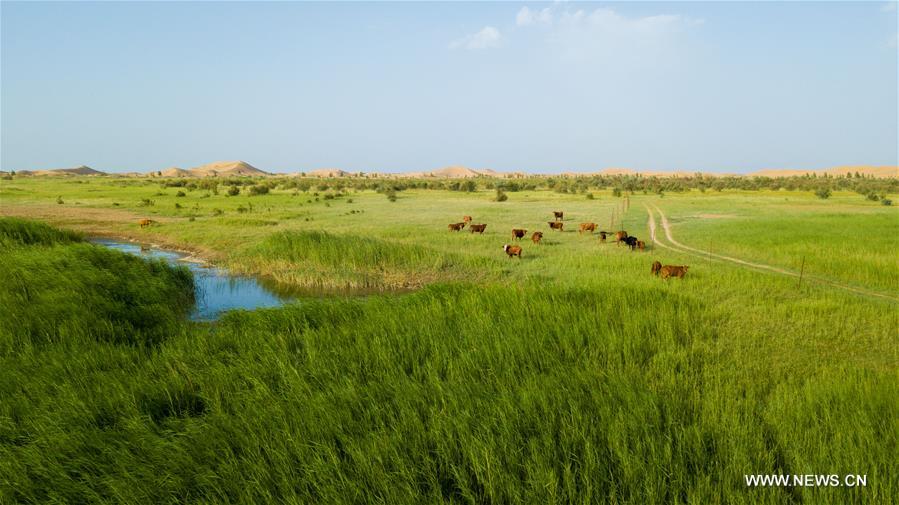 ?? ???? ????? ?? ???? ??????? ??????? ?? ????? ?????