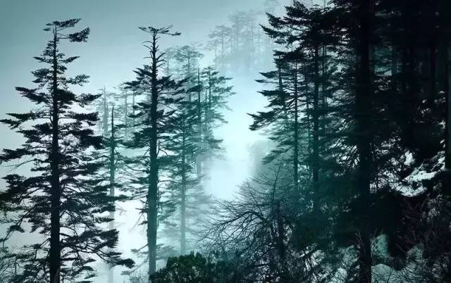 ???? ????? ????? ?? ????? ???? ????? ??? ????? ??? 6 ????? 