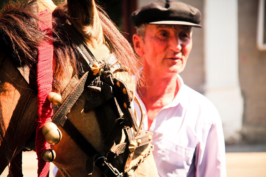 ???: ????? ???????? ???????? ?????? ????????