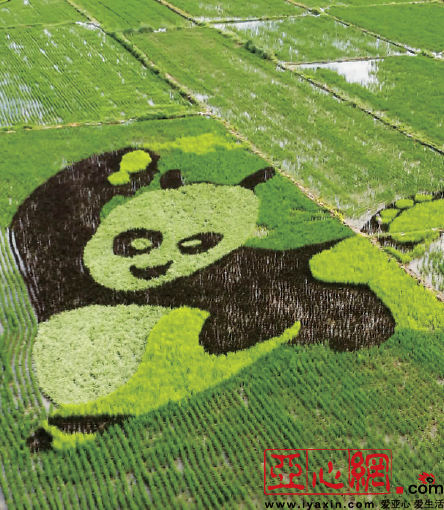 ??????? ?????? ?? ???? ????? ???? ??? ??????? ???????? ?? ????????