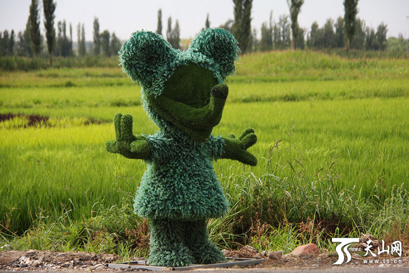 ??????? ?????? ?? ???? ????? ???? ??? ??????? ???????? ?? ????????