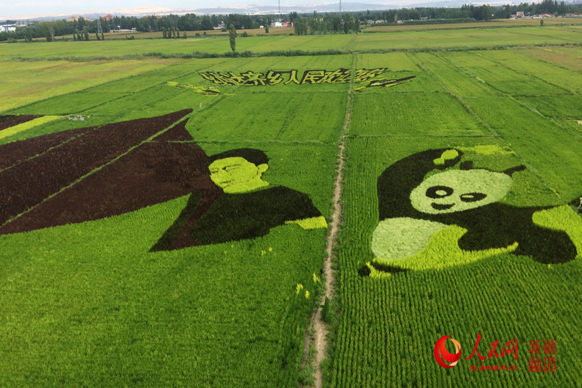 ??????? ?????? ?? ???? ????? ???? ??? ??????? ???????? ?? ????????