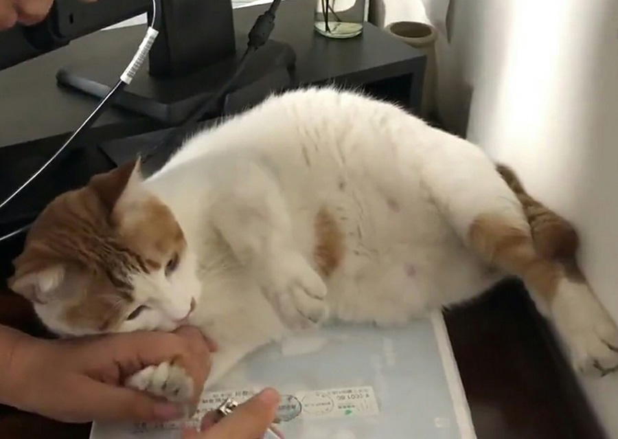 ???? ????? ????? ??? ?????????? ?? ????? ??????????