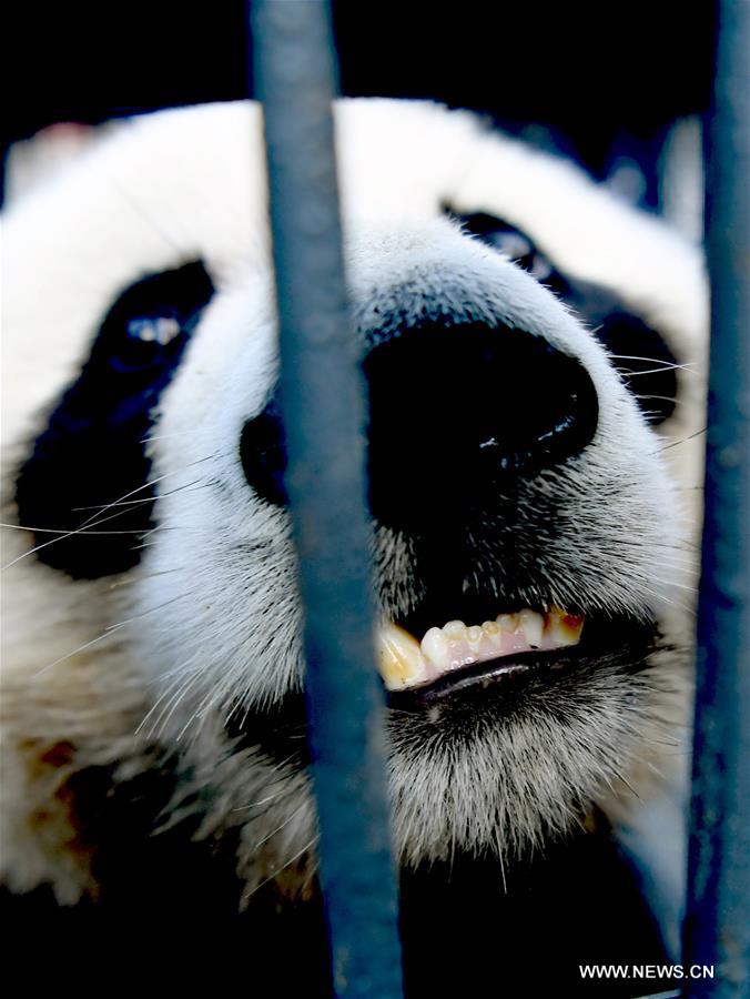 ????? ????? ?? ???? ??????? ??? ?????? ????? ????? ???? ?????