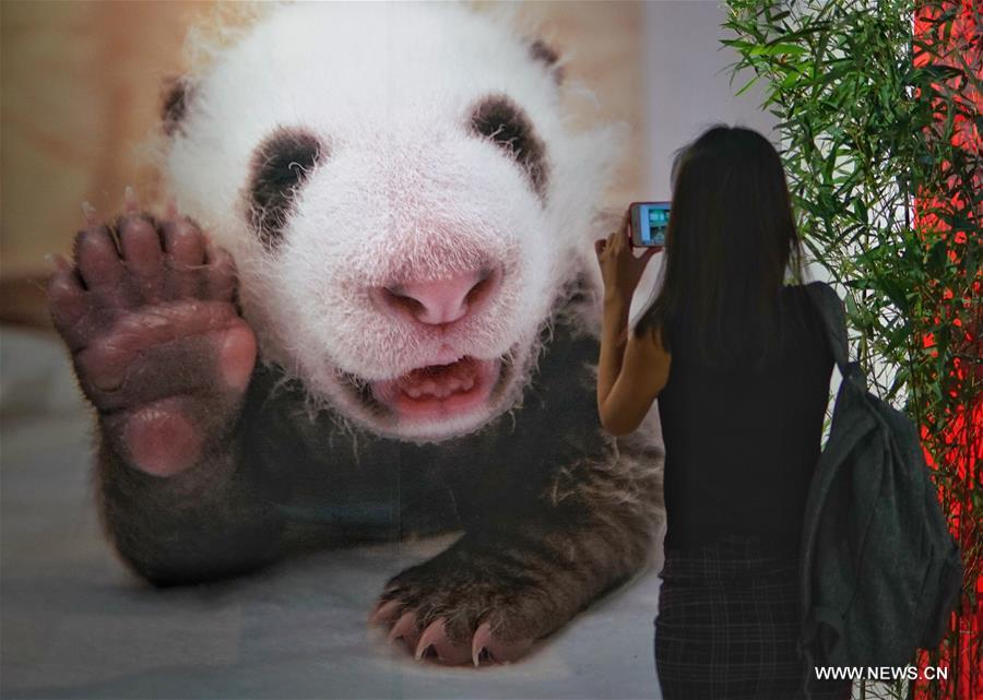 ?????? ??? ????? ????? ??