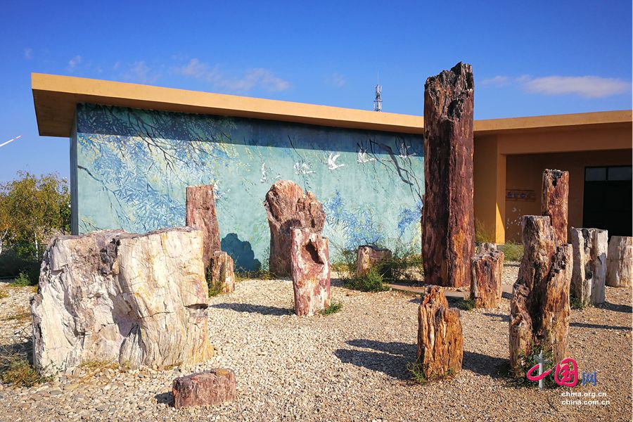 ????? ???????.. ??? ???????? ??????? ??? ???? ??????