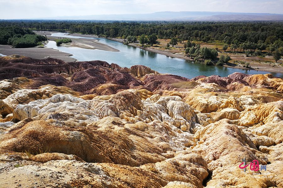 ????? ???????.. ??? ???????? ??????? ??? ???? ??????