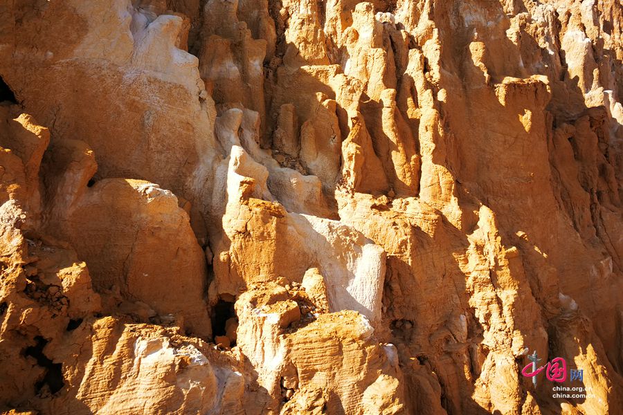 ????? ???????.. ??? ???????? ??????? ??? ???? ??????