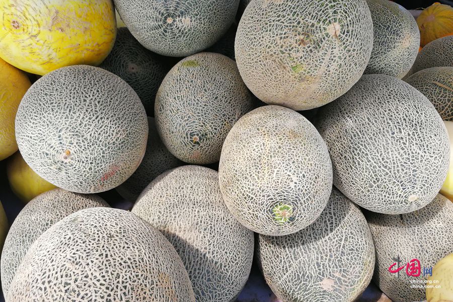 ???? ?????.. ???? ????? ???? ????? ?????? ??? ???? ??????