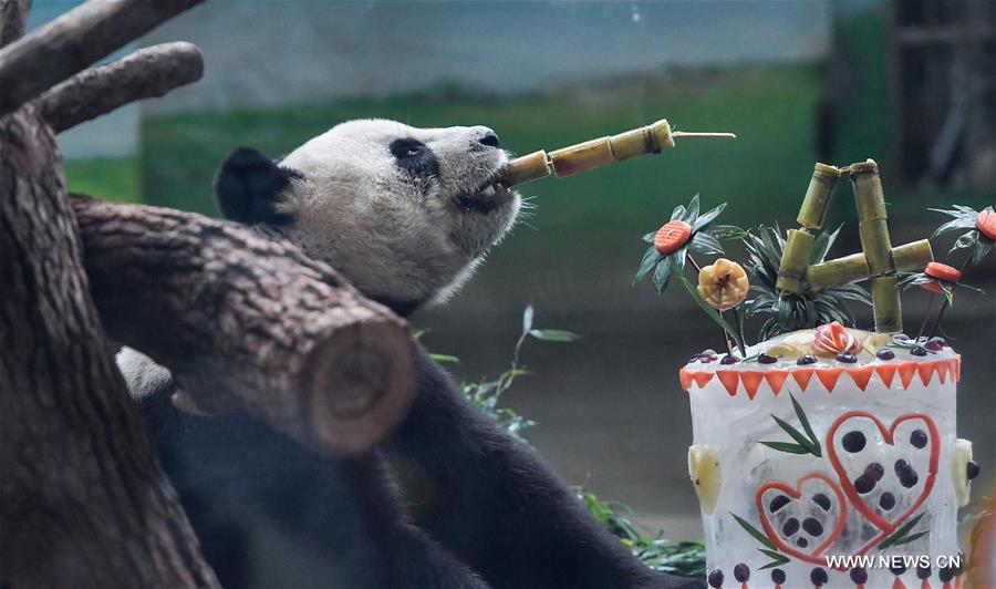 ????? ????????? ?? ????? ????? ????? ???? ????? ??????? 