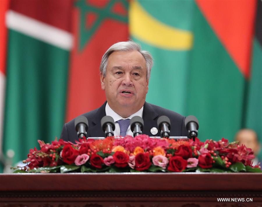 ???? ??? ????? ???????: ?????? ?????? ?? ???????? ???????-?????????