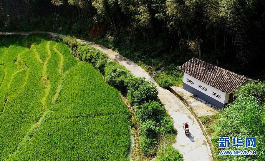 ????? ???? ???? ????? ?????? ????? ?????