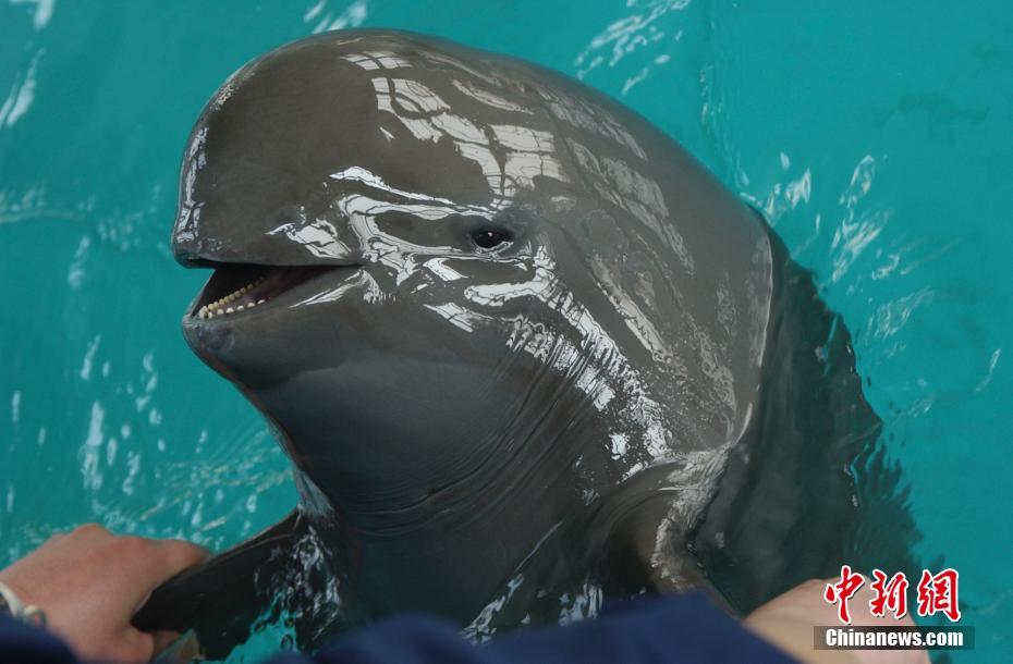 ????? ??????? ..????? ???? ?? ????? ????? ????? ???? ????????