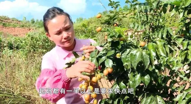 ????? ???? ???? ??? ???? ??????? ???? ?????? ???????