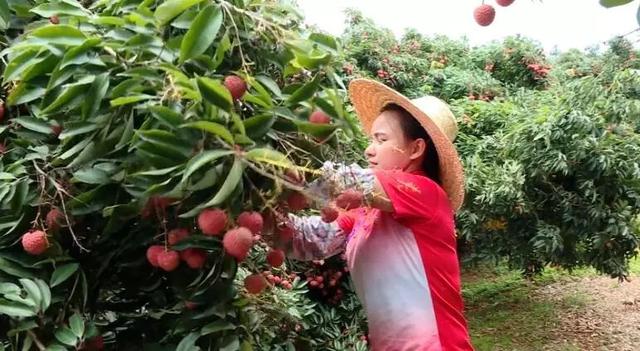 ????? ???? ???? ??? ???? ??????? ???? ?????? ???????