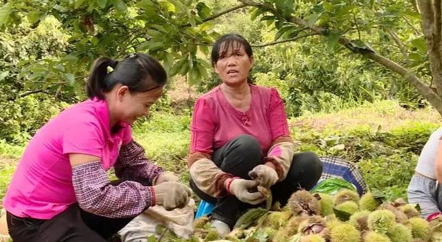 ????? ???? ???? ??? ???? ??????? ???? ?????? ???????