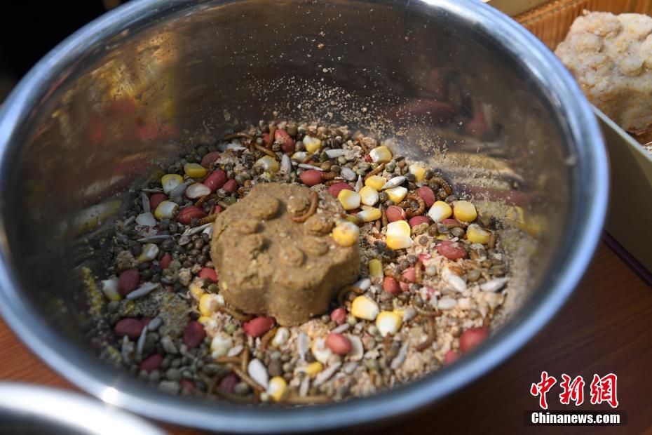 ????????? ????? ???? ????? ???????? ??? ????? ??????