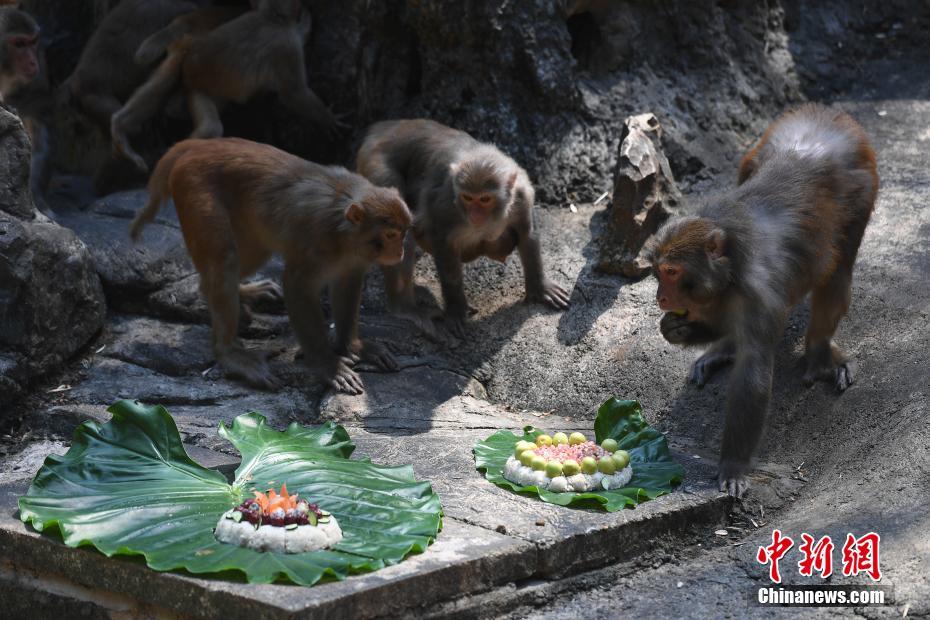 ????????? ????? ???? ????? ???????? ??? ????? ??????