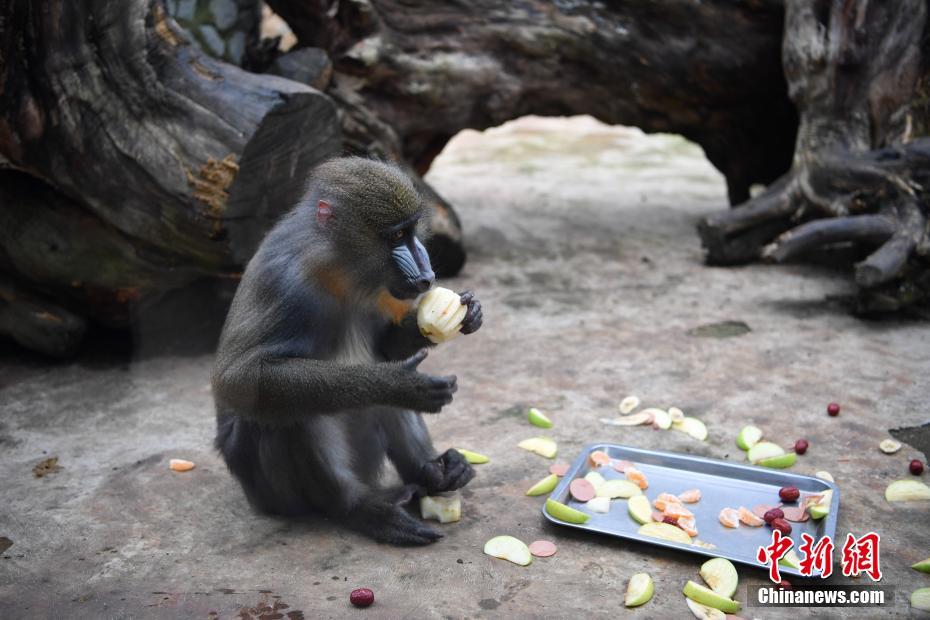 ????????? ????? ???? ????? ???????? ??? ????? ??????