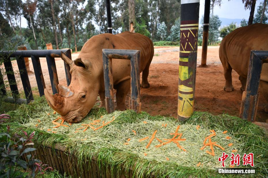 ????????? ????? ???? ????? ???????? ??? ????? ??????