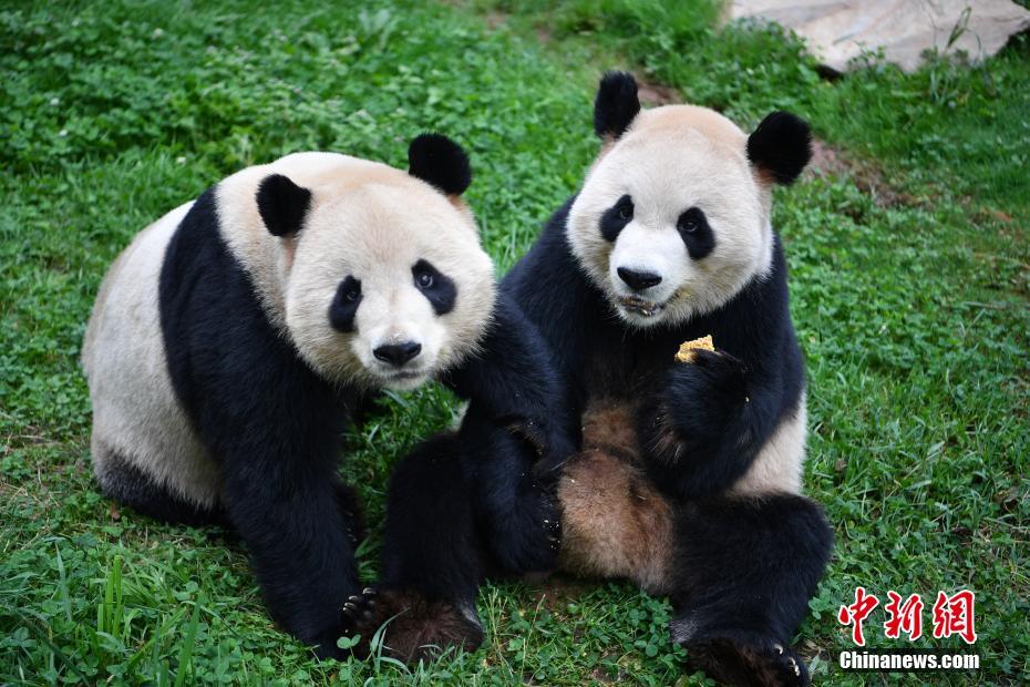 ????????? ????? ???? ????? ???????? ??? ????? ??????