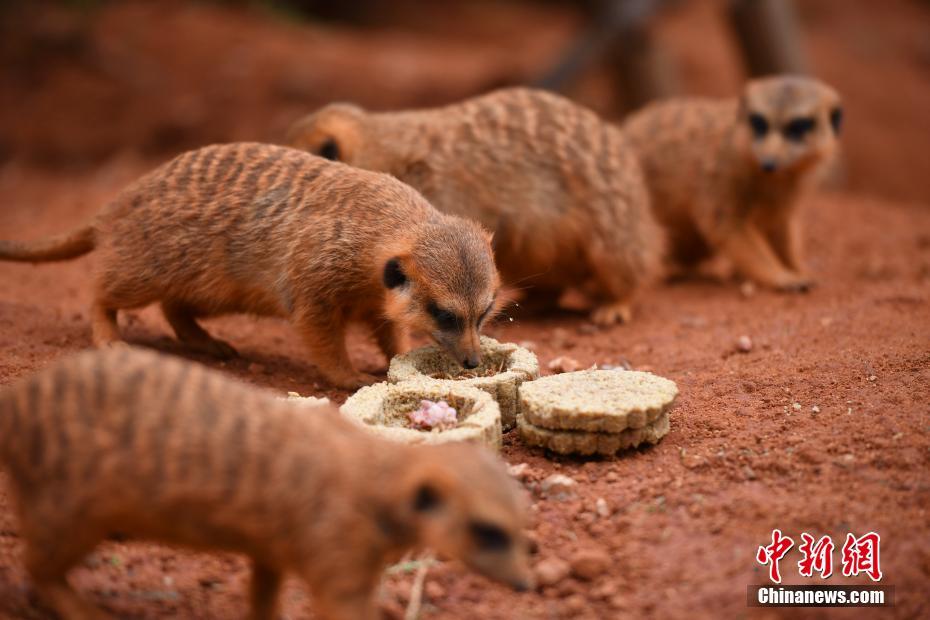 ????????? ????? ???? ????? ???????? ??? ????? ??????