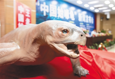 ??? ???? ???? ??????? ?????? ???? ??? ??? 228 ????? ??? ?? ?????