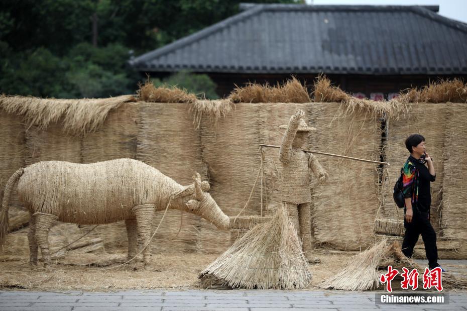 ??????: ????? ?????? ?? ???? ?? ???? ????? 