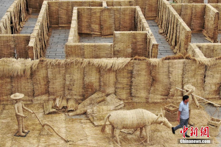 ??????: ????? ?????? ?? ???? ?? ???? ????? 